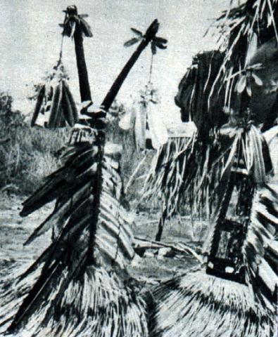 KA%20-%200101.jpg