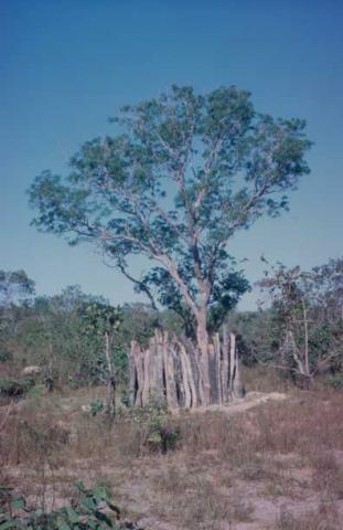KH%20-%200378.jpg