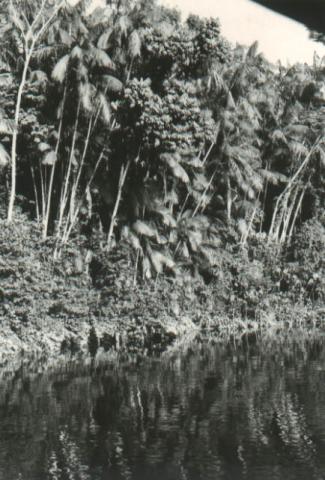 KX%20-%202110.jpg