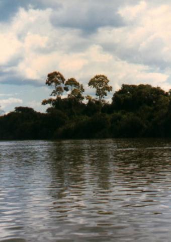 KX%20-%202688.jpg