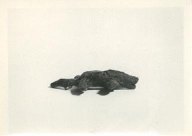KX%20-%203931.jpg