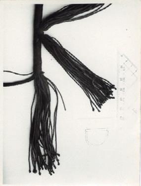 KX%20-%203944b.jpg