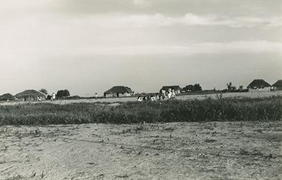 XV-0050.jpg