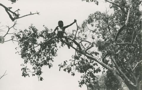 XV-0098.jpg